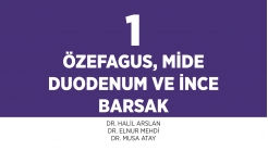 Bölüm 1. Özefagus, Mide Duodenum ve İnce Barsak