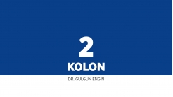 Bölüm 2: Kolon