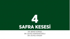 Bölüm 4: Safra Kesesi