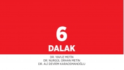 Bölüm 6: Dalak