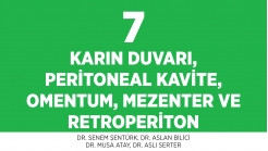 Bölüm 7: Karın Duvarı, Peritoneal Kavite, Omentum, Mezenter ve Retroperiton