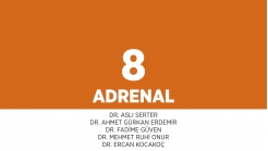 Bölüm 8: Adrenal