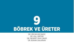 Bölüm 9: Böbrek ve Üreter