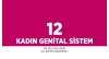 Bölüm 12: Kadın Genital Sistem