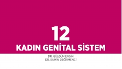 Bölüm 12: Kadın Genital Sistem