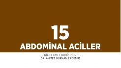 Bölüm 15: Abdominal Aciller